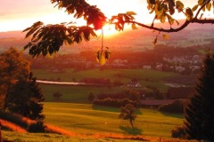 2012-07-08-21.20.51