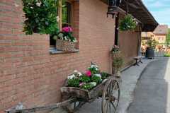 b18afdba-2c34-41da-be42-26bd1d66233f