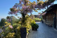 b5e159cf-87c7-4cc2-a2a4-b0142e469f48