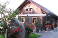 bilder-juni-2010-086